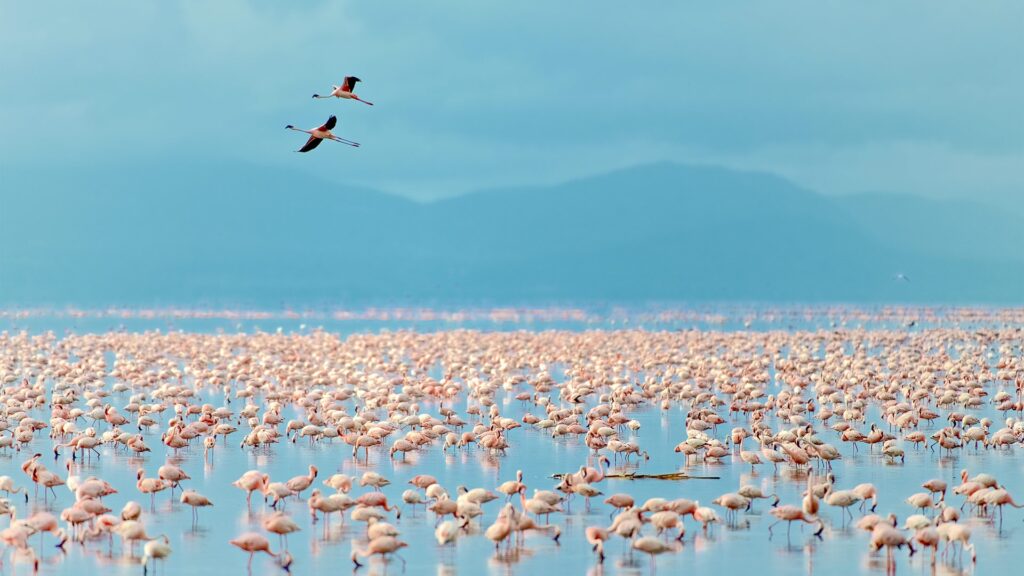 Lake Manyara National Park