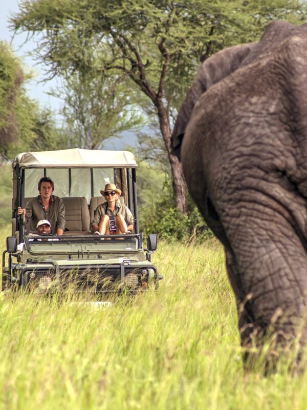 Tarangire National Park