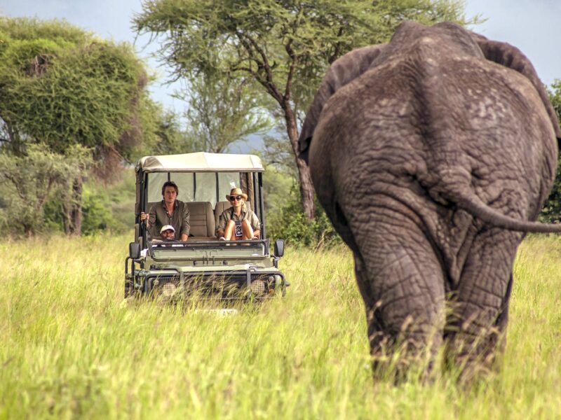 Tarangire National Park