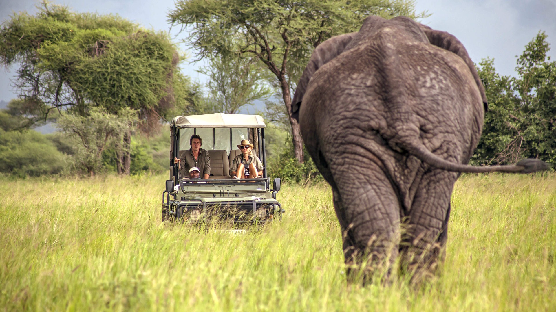 Tarangire National Park — Tanzania destination