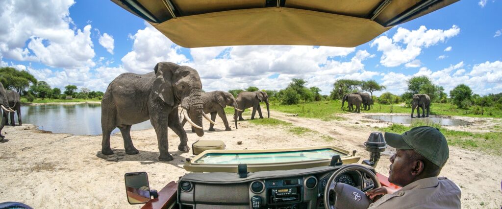 Tarangire National Park