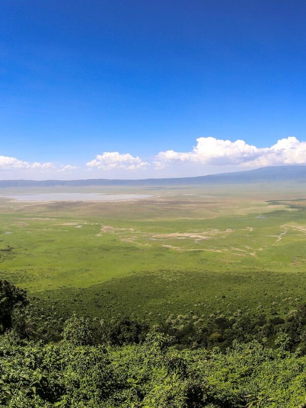 Ngorongoro Crater