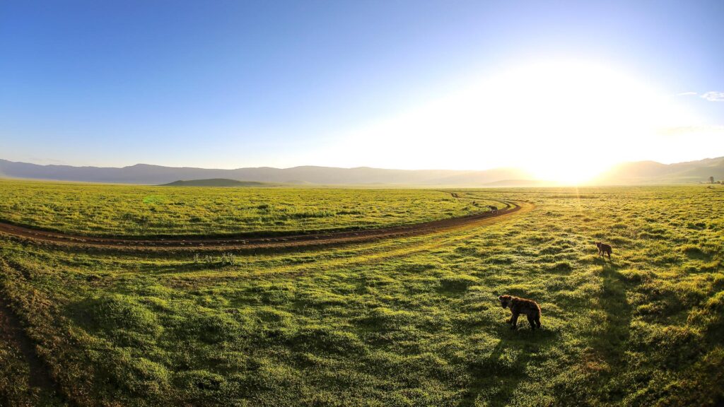 Ngorongoro Crater