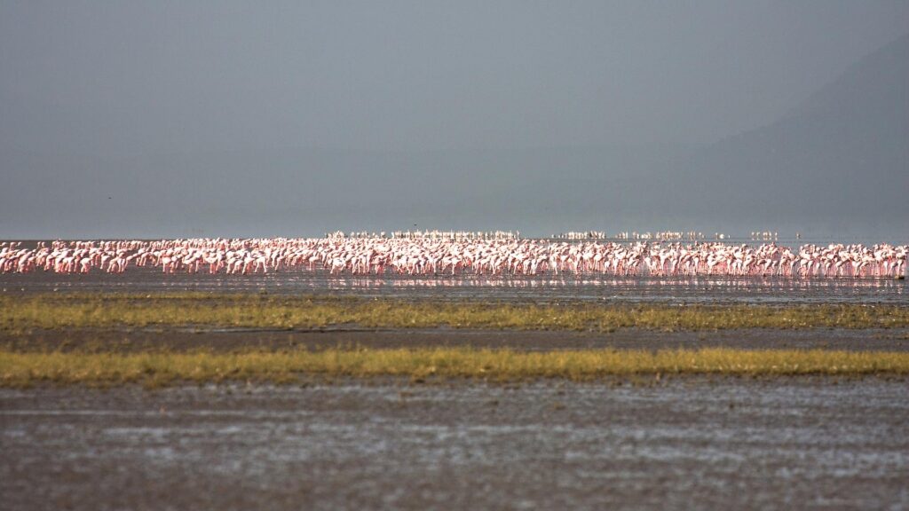 Lake Manyara National Park