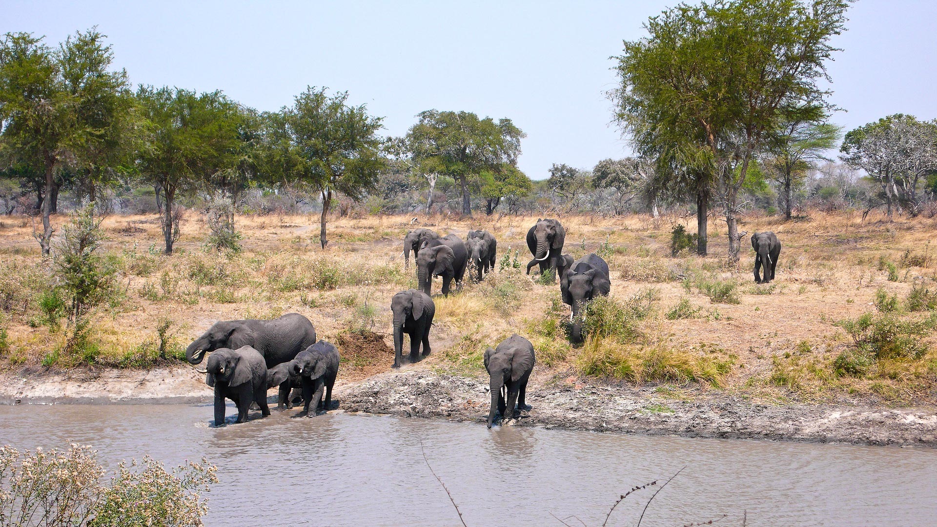 Tanzania Big 5 & Great Migration Safari — Tanzania safari landscape