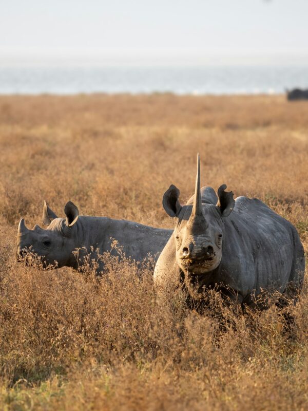 Tanzania