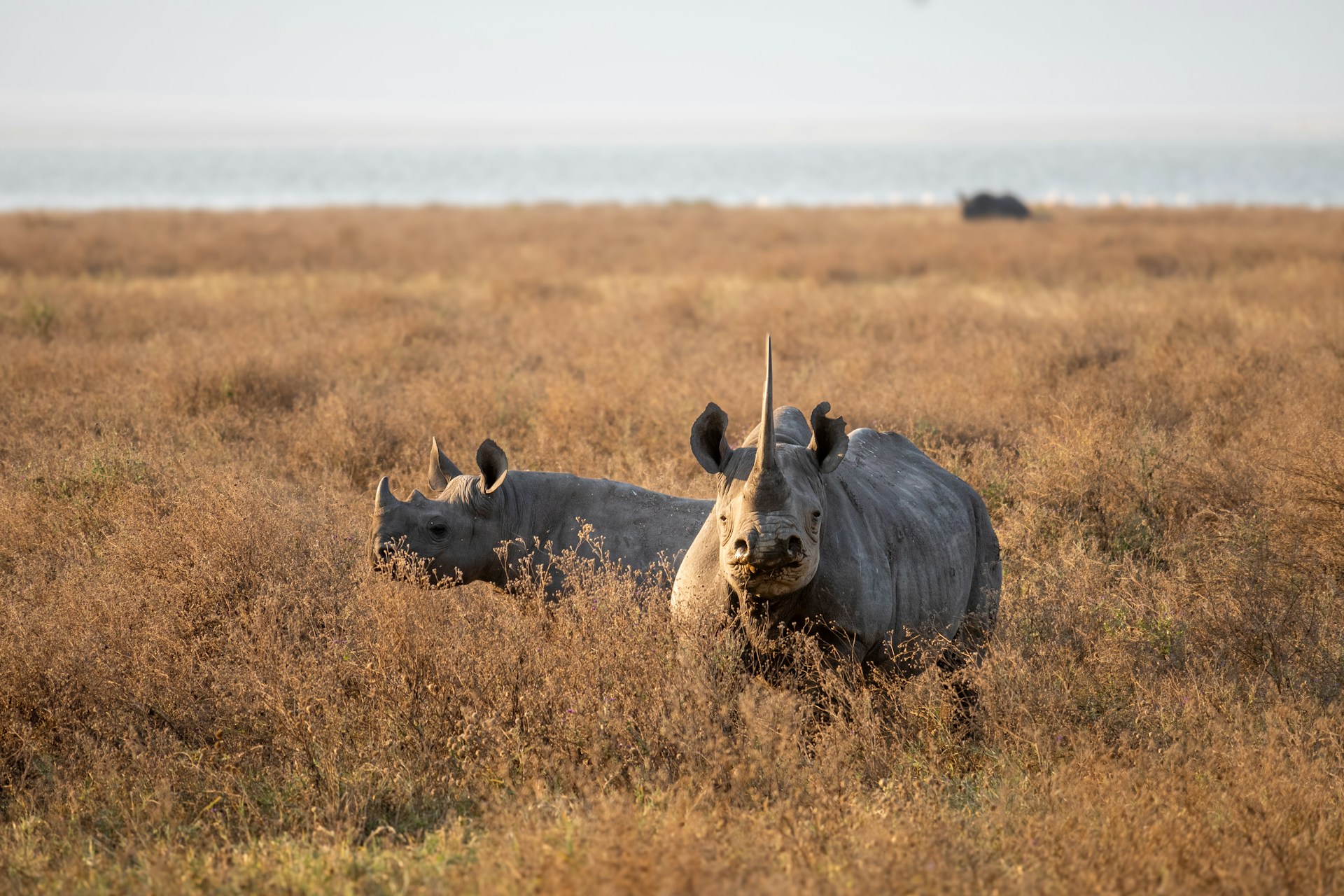 Tanzania