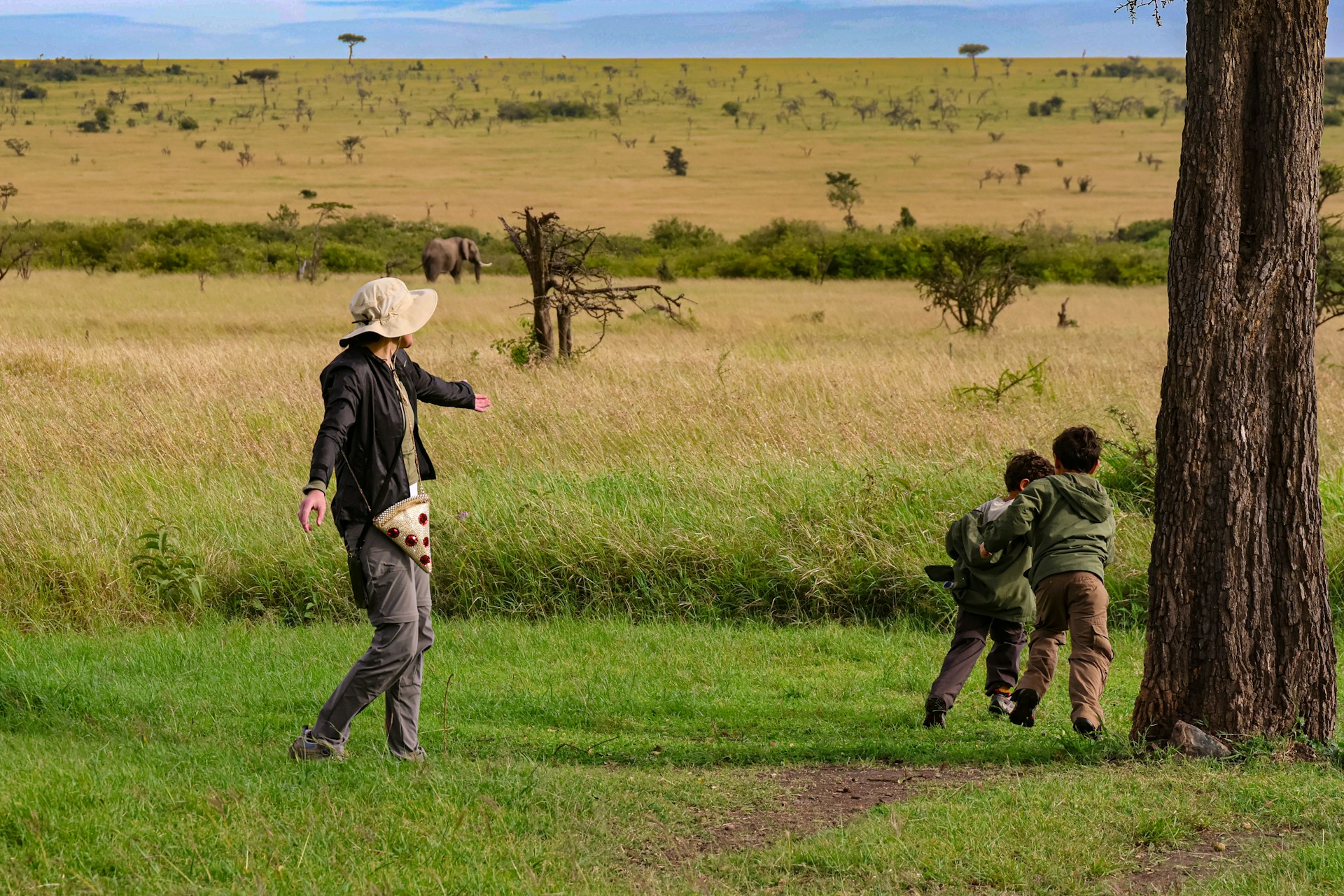 10-Day Kenya & Tanzania Family Safari — Tanzania safari landscape